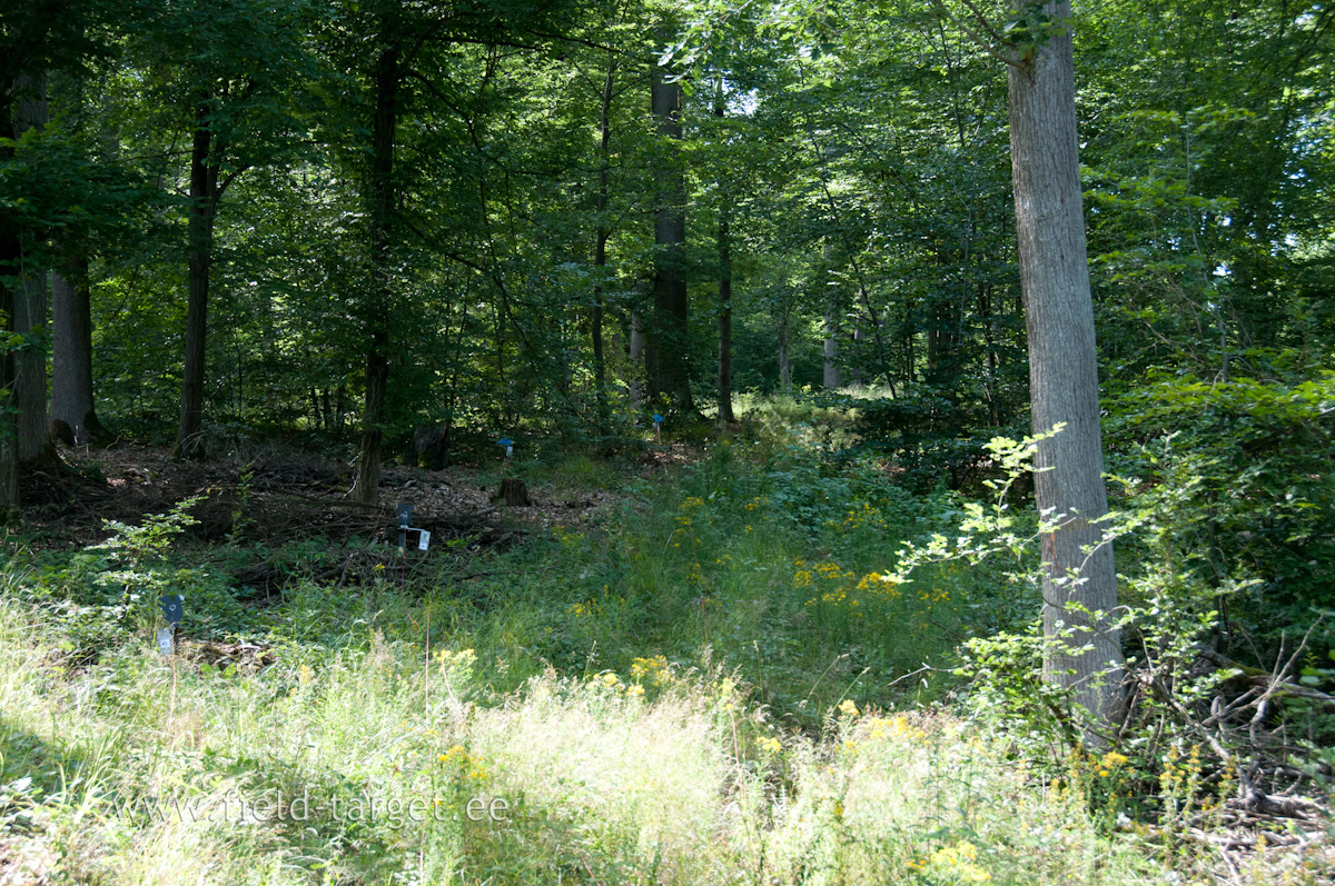 Metal silhouette “fall when hit” targets resettable from the firing point shall be used.